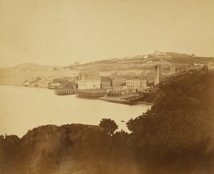 [Wollmühle, San Francisco] von Carleton Watkins