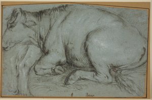 Liegende Kuh und Studie für die Hinterbeine einer stehenden Kuh von Carlo Caliari