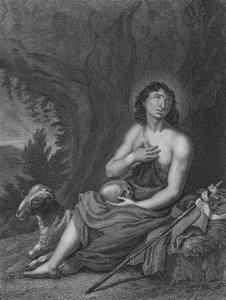 Johannes in der Wüste