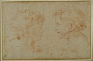 Studien des Kopfes und der linken Hand eines Putto