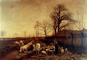 Tiere werden zum Wasser getrieben, von Carlo Pittara von Carlo Pittara