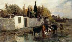 Kühe am Trog von Carlo Pittara