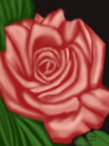 Erinnerung an eine Rose von Carol Sousa Cuello