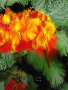 Florale Fantasie #1 von Carol Sousa Cuello