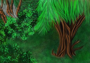 Ecke im Garten von Carol Sousa Cuello