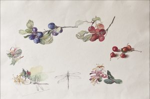 Herbstfrüchte und Blumen