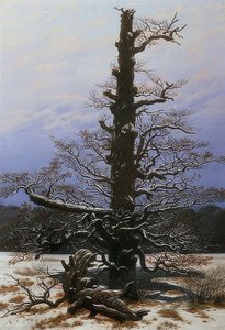 Eichbaum im Schnee von Caspar David Friedrich