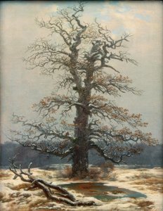 Eiche im Schnee von Caspar David Friedrich