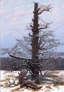 Eichbaum im Schnee von Caspar David Friedrich