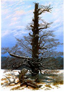 Eichbaum im Schnee von Caspar David Friedrich