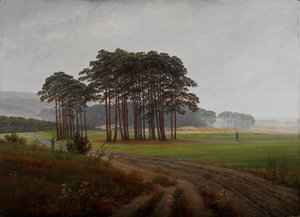 Momente des Tages: Der Mittag von Caspar David Friedrich