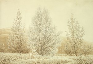 Frühling