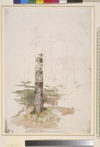 Studie aus dem Inneren eines Nadelwaldes von Caspar David Friedrich