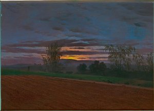 Sturzacker von Caspar David Friedrich