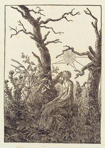 Die Frau mit dem Spinnennetz