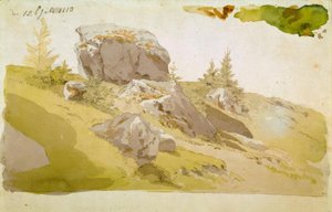 Wiesenstück mit Felsen im Riesengebirge von Caspar David Friedrich