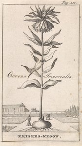 Kaiserkronen von Caspar Luyken