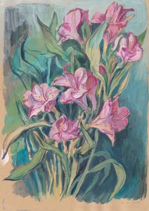 Lebendige Rosa Blüten