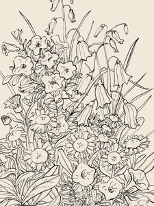 Wilde Gartenblumen von Catalina Somolinos