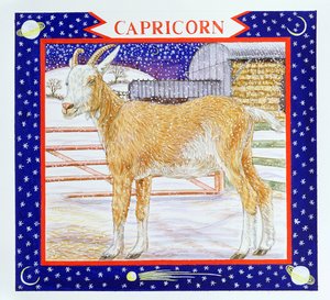 Steinbock von Catherine Bradbury