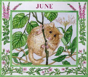 Juni von Catherine Bradbury