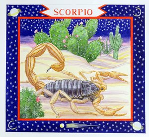 Skorpion