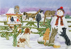 Der Schneemann und seine Freunde