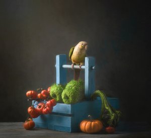 Herbstpapagei Stillleben