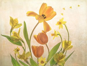 Goldene Frühlingsblumen
