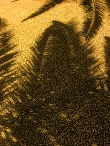 Komposition - Schatten, 2021