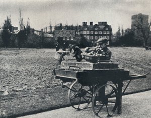 Kartoffeln in den Kew Gardens, 1941