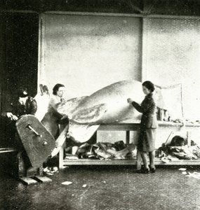 Reparatur von Sperrballons von Cecil Beaton