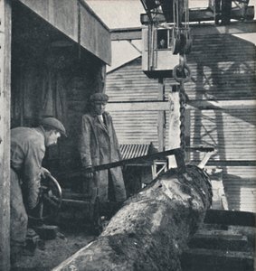 Holz sägen