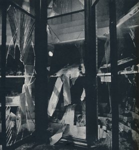 Schaukästen im Naturhistorischen Museum von Cecil Beaton