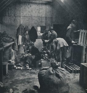 Gemüse für den Markt, 1941 von Cecil Beaton