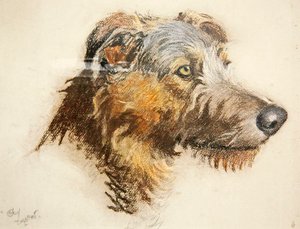 Ein schottischer Hirschhund von Cecil Charles Windsor Aldin