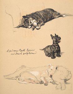 Aberdeens, Bullterrier und Irischer Wolfshund, 1930, Illustrationen aus seinem Skizzenbuch verwendet für Just Among Friends, Aldin, Cecil Charles Windsor (1870-1935), später veröffentlicht von Eyre und Spottiswoode Limited von Cecil Charles Windsor Aldin
