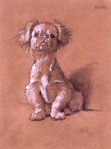 Bimbo von Cecil Charles Windsor Aldin