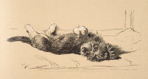 Rauhaariger Dackelwelpe (Detail), 1930, Illustrationen aus seinem Skizzenbuch verwendet für Just Among Friends, Aldin, Cecil Charles Windsor (1870-1935), später veröffentlicht von Eyre und Spottiswoode Limited, 1934 von Cecil Charles Windsor Aldin