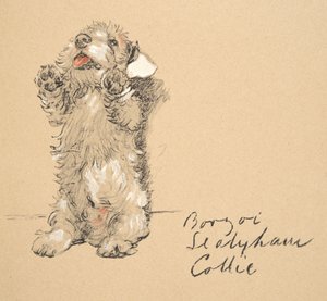 Sealyham, 1930, Illustrationen aus seinem Skizzenbuch verwendet für Just Among Friends, später veröffentlicht von Eyre und Spottiswoode Limited, 1934 von Cecil Charles Windsor Aldin