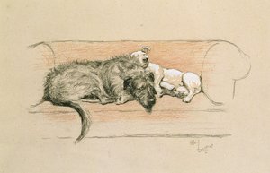 Wolfshund und Bullterrier schlafen auf einem Sofa