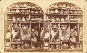 Peruanische Mumien und Keramik von Centennial Photographic Co.