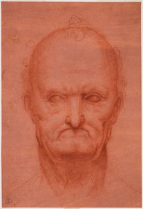 Kopf eines alten Mannes, ca. 1515 von Cesare da attr.to Sesto