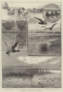 Entenjagd auf Long Point Island, am Eriesee (Gravur) von Charles (after) Whymper