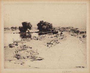 Cape Ann Weiden