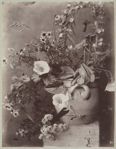 Blumenstudie mit Kölner Topf auf Kiste von Charles Aubry (manner of)