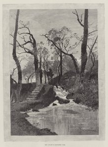 Der Wasserfall im Hawarden Park von Charles Auguste Loye