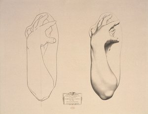 Gebogener Arm einer Frau, Tafel 22 aus Cours de Dessin Band I, Modeles dapres la bosse, c.1868