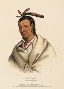A-MIS-QUAM, EIN WINNEBAGO TAPFERER, aus History of Indian Tribes of North America