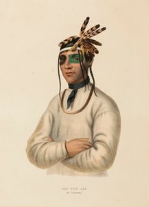 CAA-TOU-SEE. EIN OJIBWAY., aus Geschichte der Indianerstämme Nordamerikas